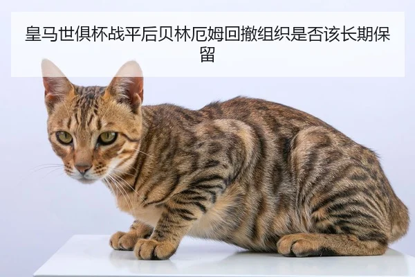 皇马世俱杯战平后贝林厄姆回撤组织是否该长期保留