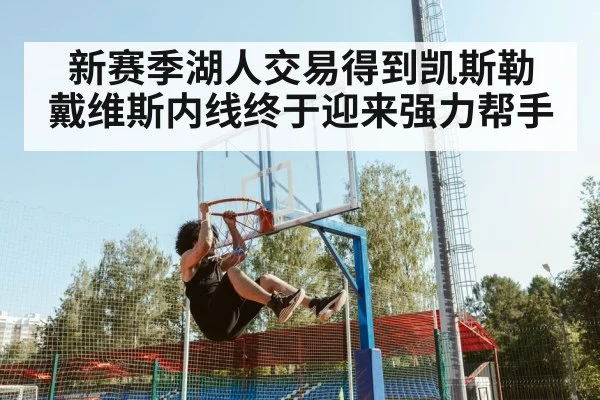新赛季湖人交易得到凯斯勒 戴维斯内线终于迎来强力帮手